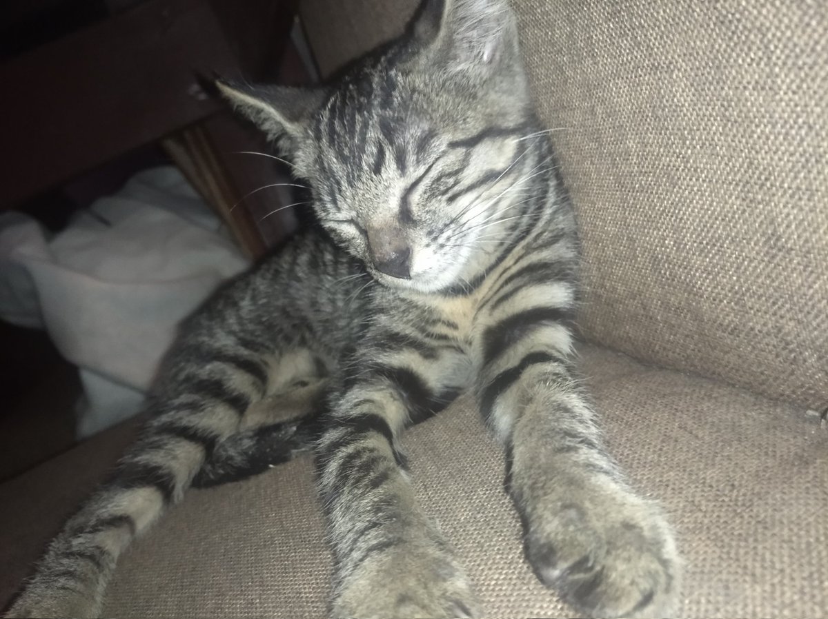 ODthecreative tweet media