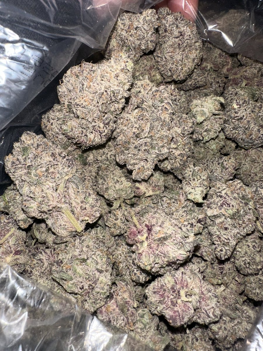 ZaZaWizard tweet media