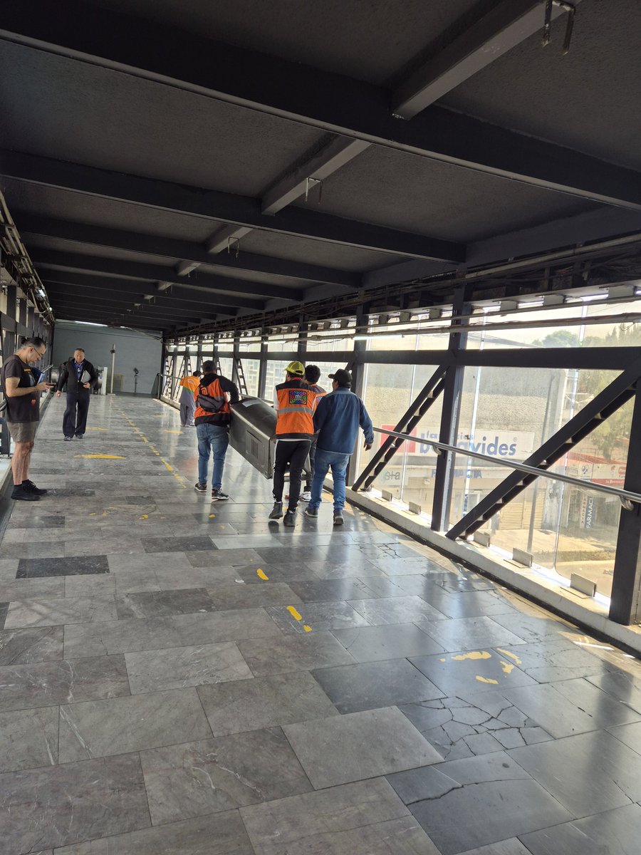 Areli Carreón 🇵🇸 tweet media