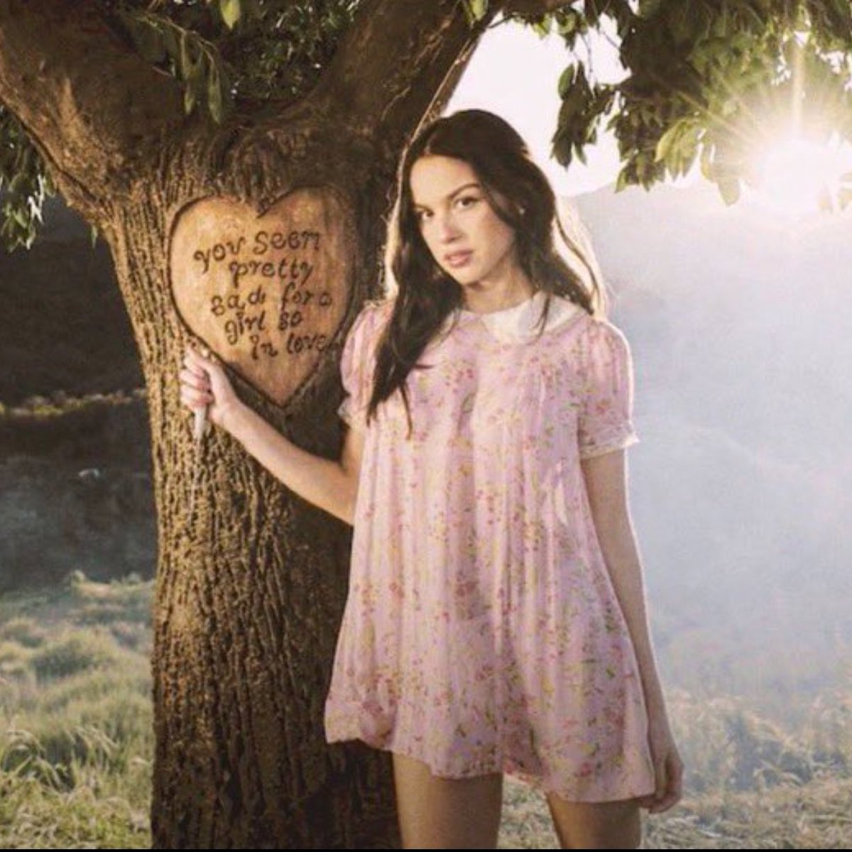 ໊ 𓃹 tweet media