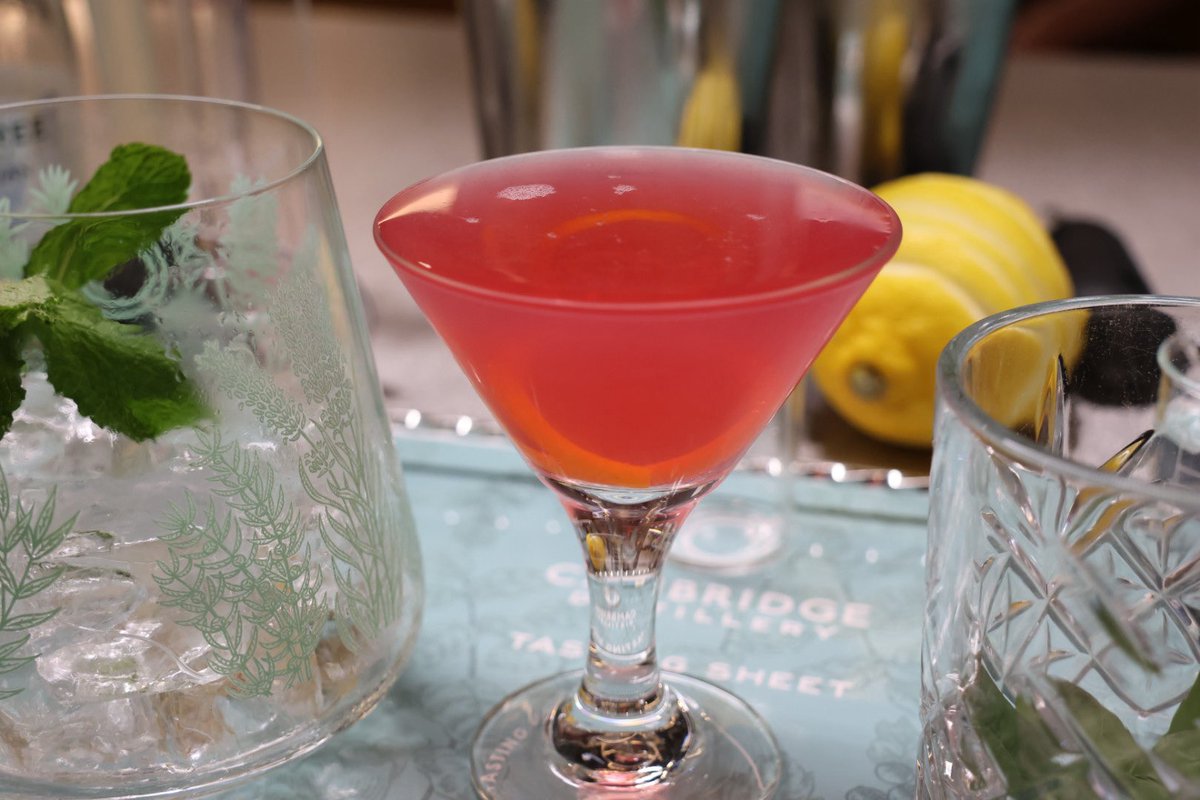 Jupiter_Hadley's tweet image. We also went to a gin cocktail class today! #gin #cocktail #cambridge