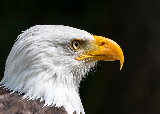 Kathryn Stewart tweet media