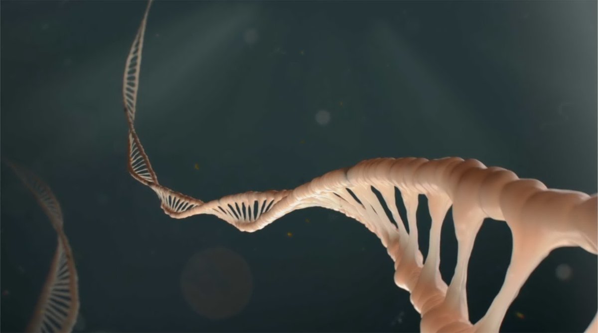 Creation-Evolution Headlines tweet media