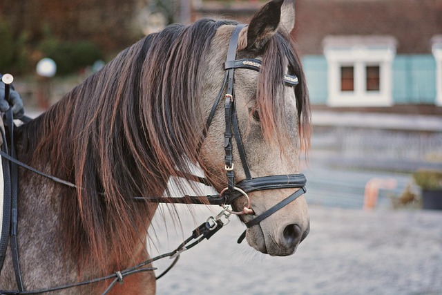 Catherine Hines tweet media