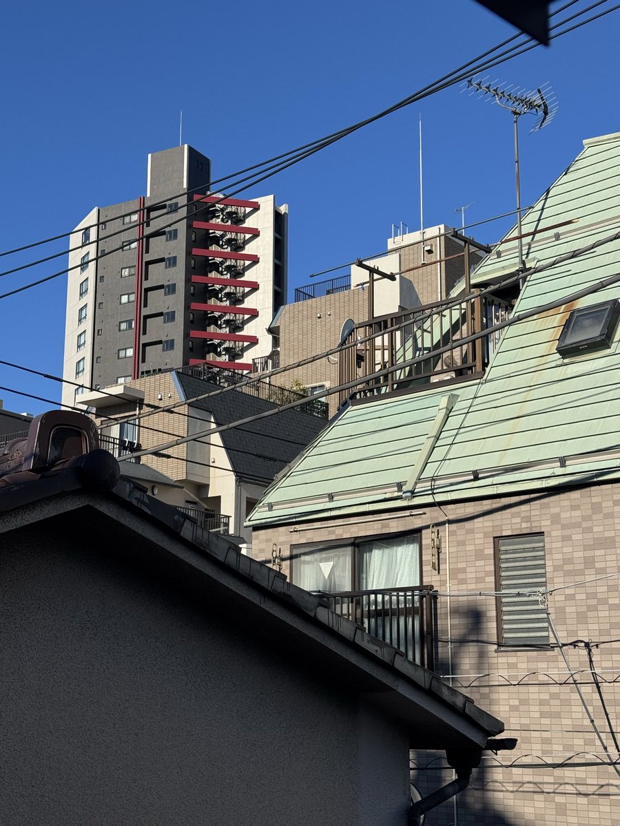 STAR TAMER tweet media