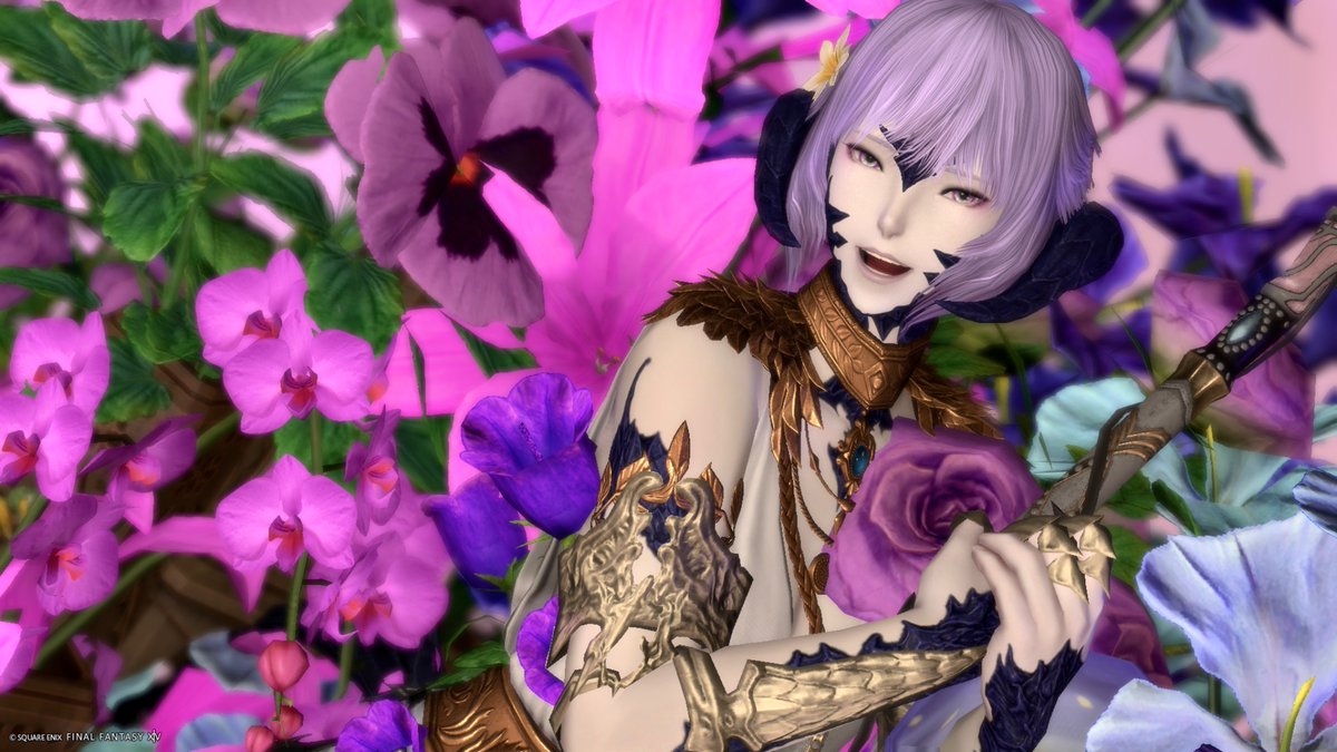 𝙺𝚊𝚗𝚊🐕 ͗ ͗ tweet media