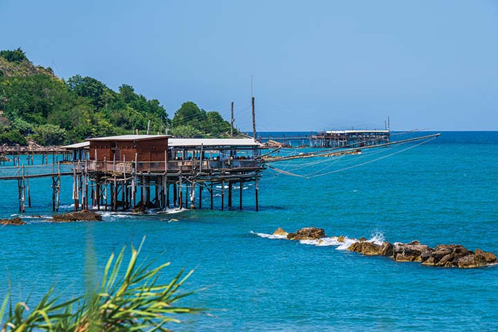 Italian American Herald tweet media