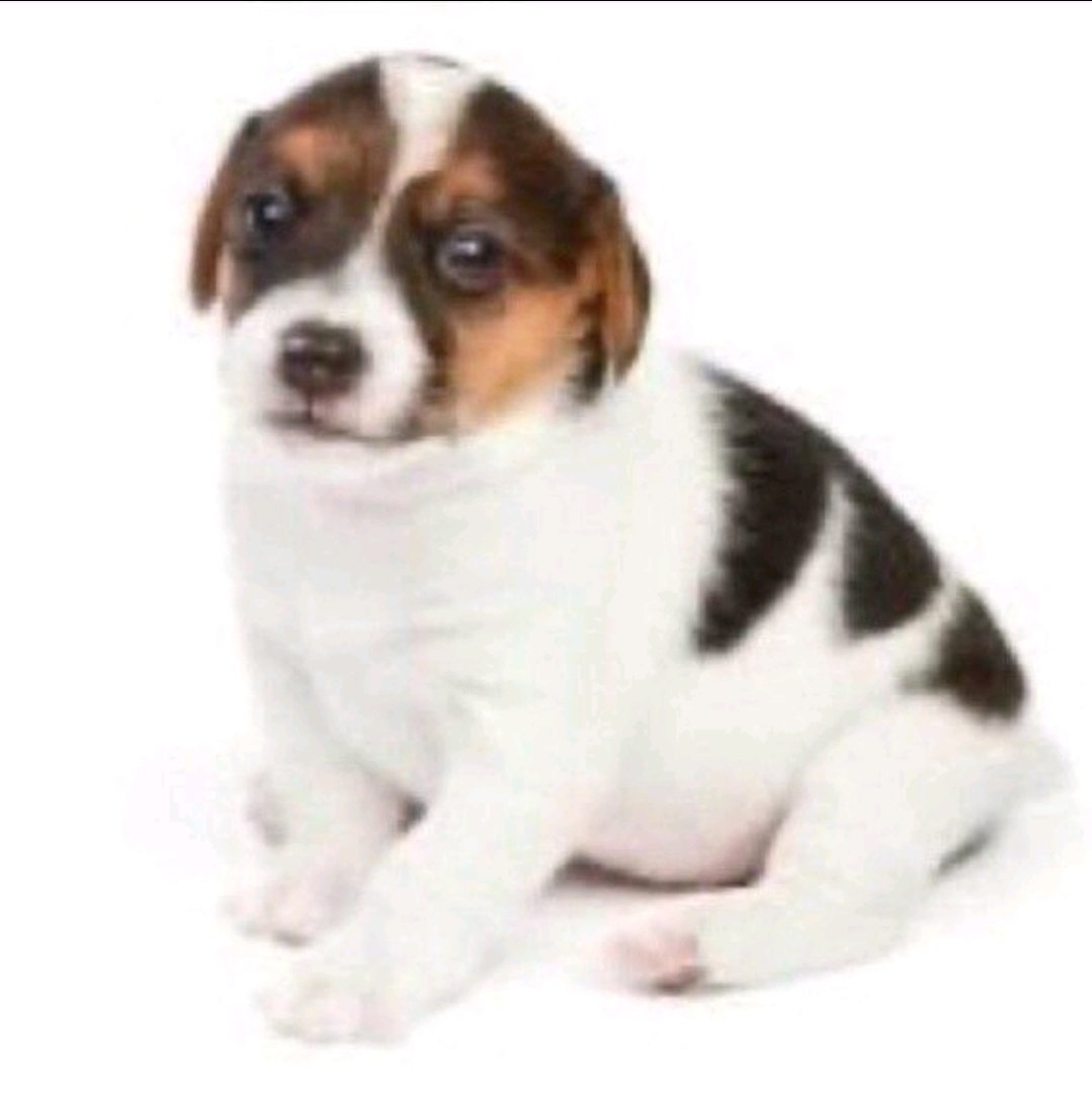 mandy ᢉ𐭩 tweet media