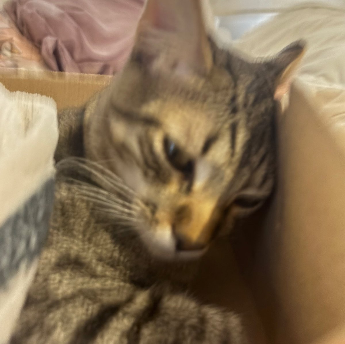 まる💊 tweet media