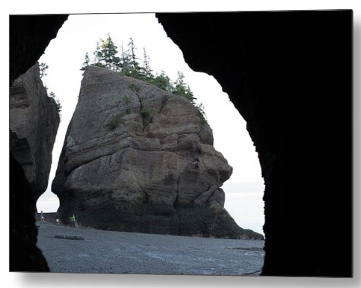 Shonna Hawkins Photography tweet media