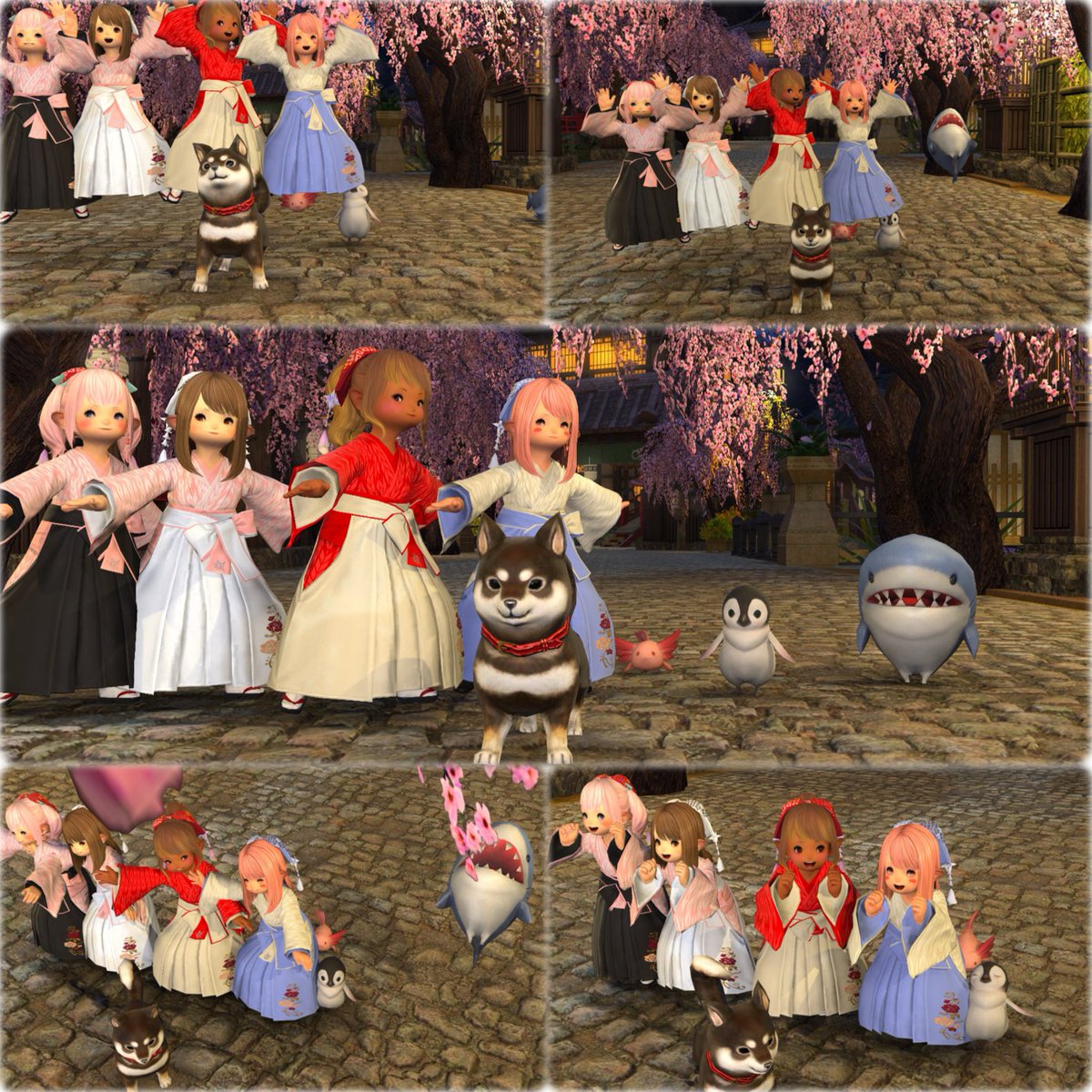 うぱ(ぱすてるフラワーEOTグループ・総監督) tweet media