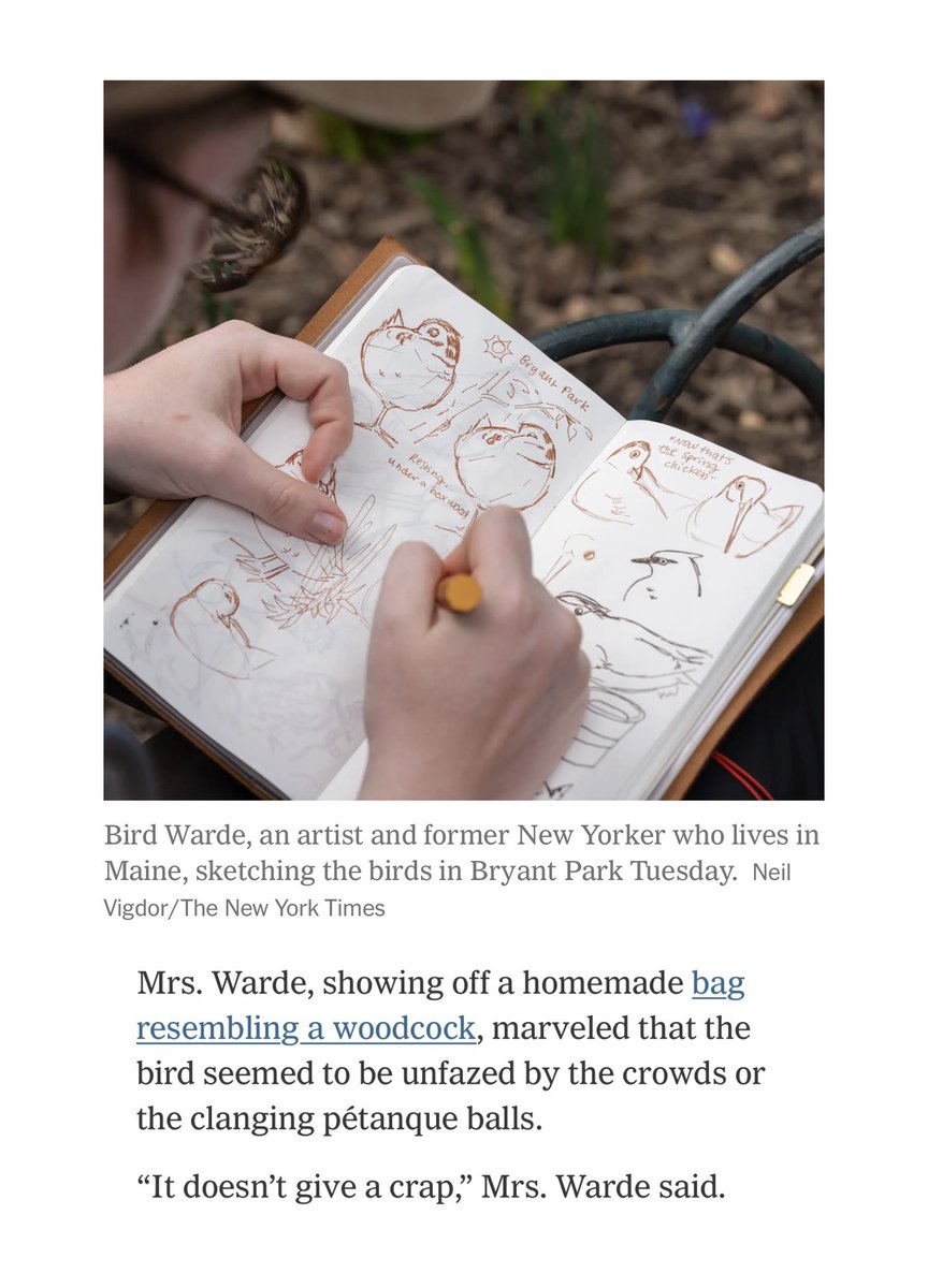 Bird 🌲🦆 tweet media