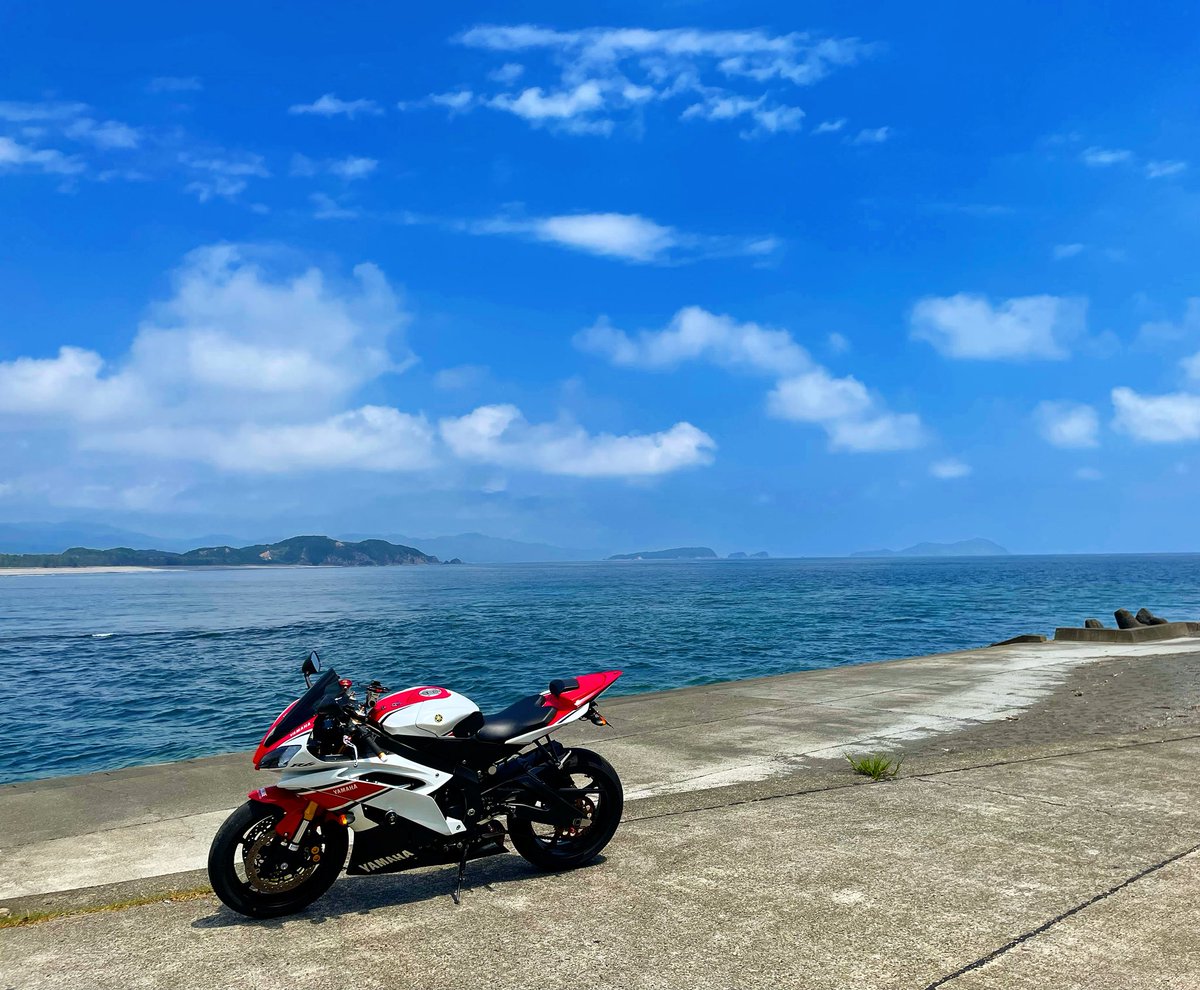 ぶぉん𝕏 tweet media