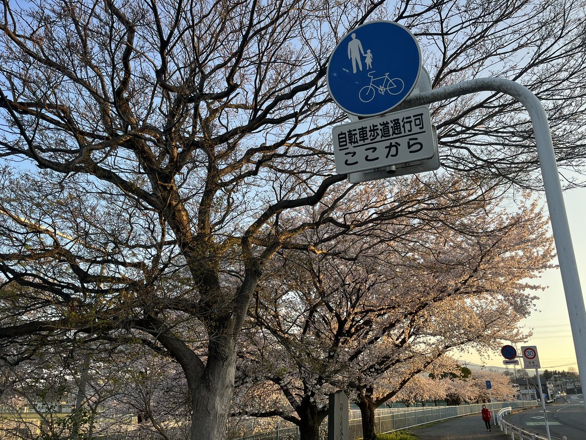 マッチボックス tweet media