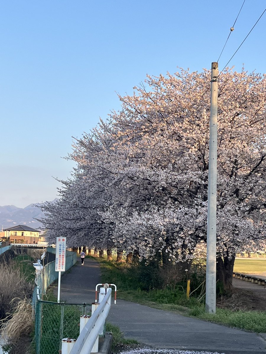 マッチボックス tweet media