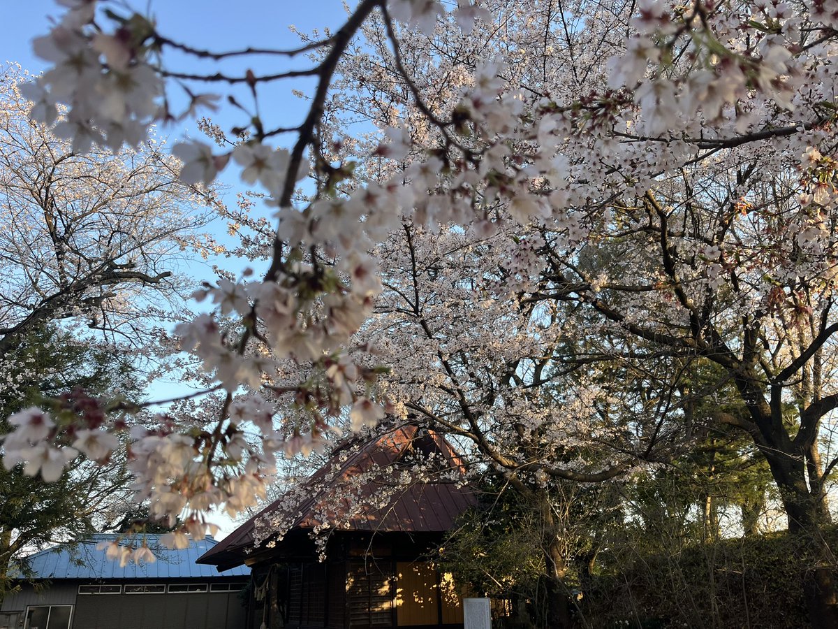 マッチボックス tweet media