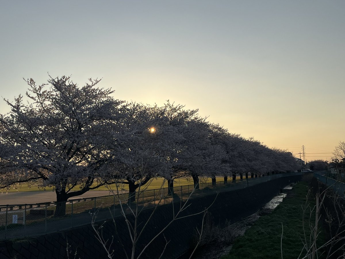 マッチボックス tweet media