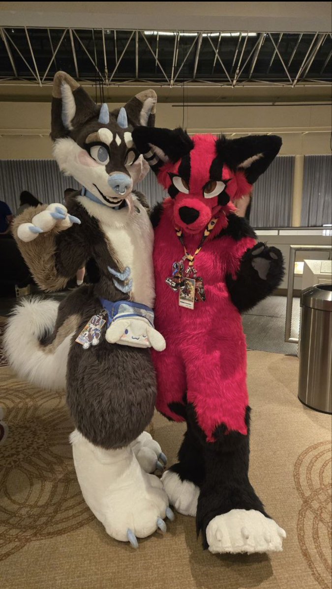 Maru 🤍 tweet media