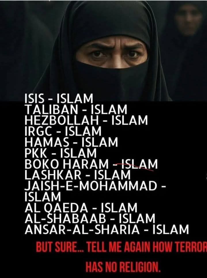 Droidzilla22 tweet media