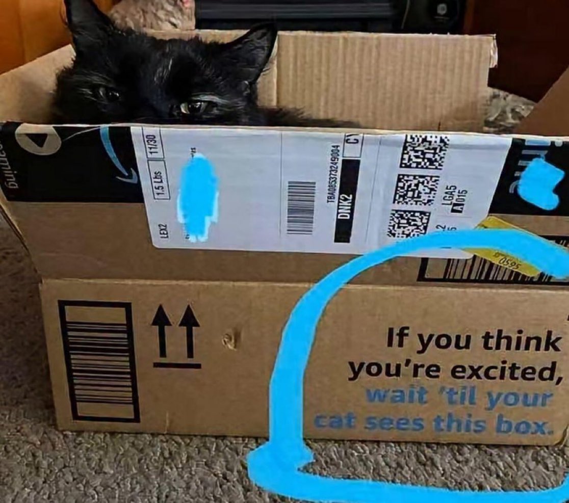 positive side of X 🌞 tweet media