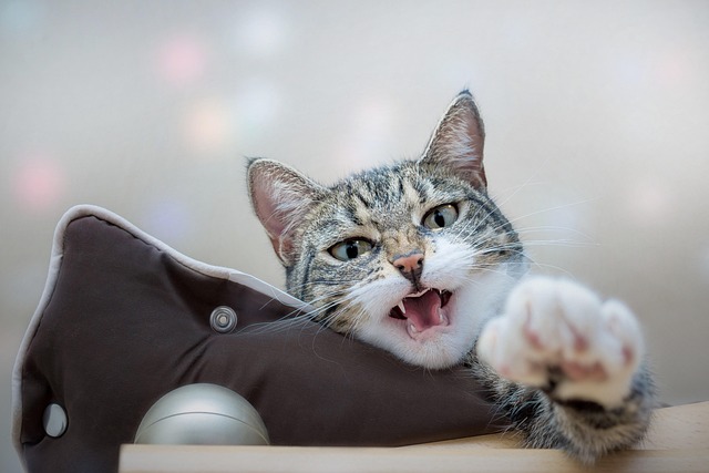 April Rodriguez tweet media