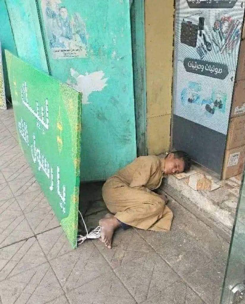 زايد المنتصر tweet media