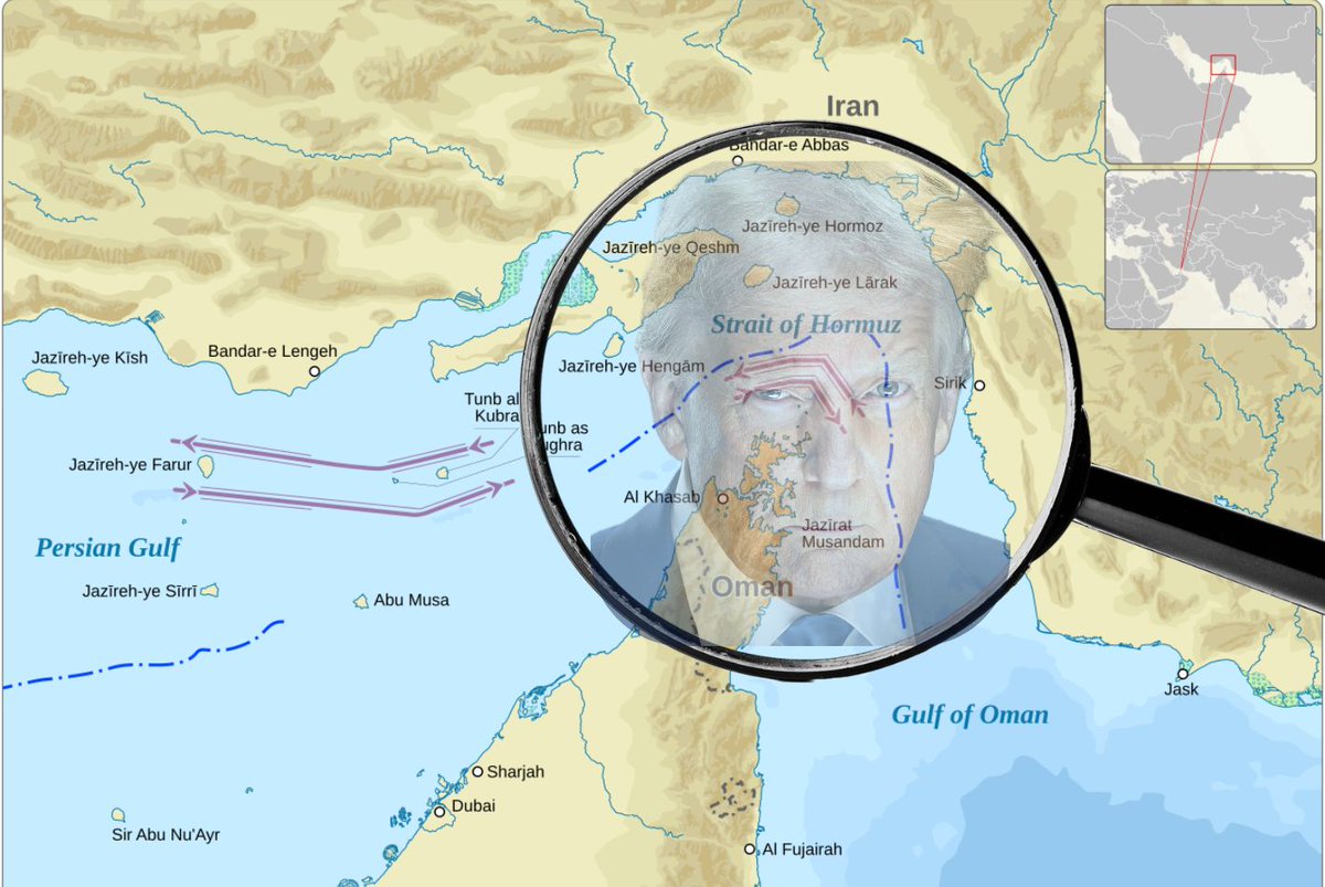 Little Think Tank tweet media