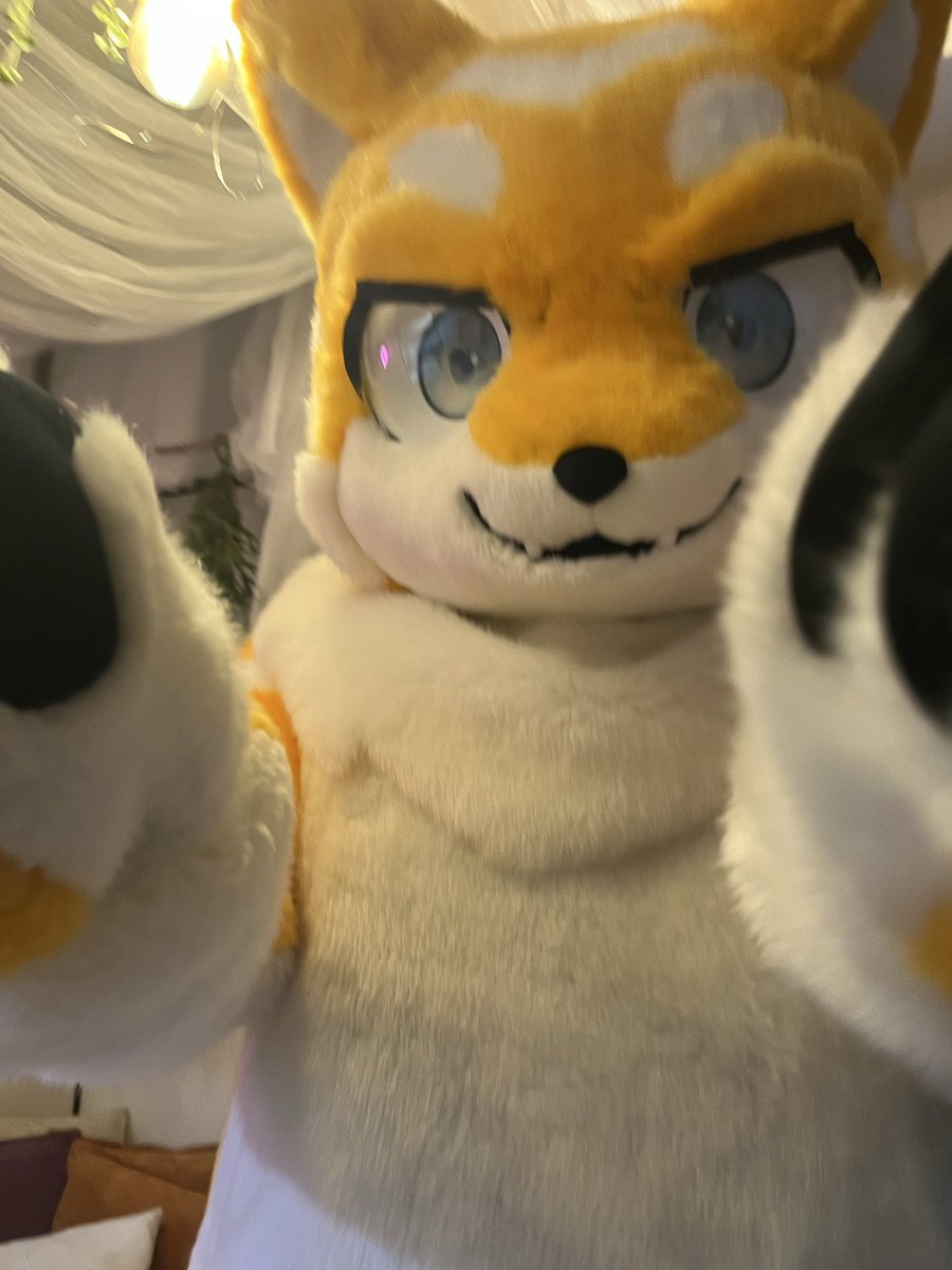 えすと ➡ ？？？ tweet media