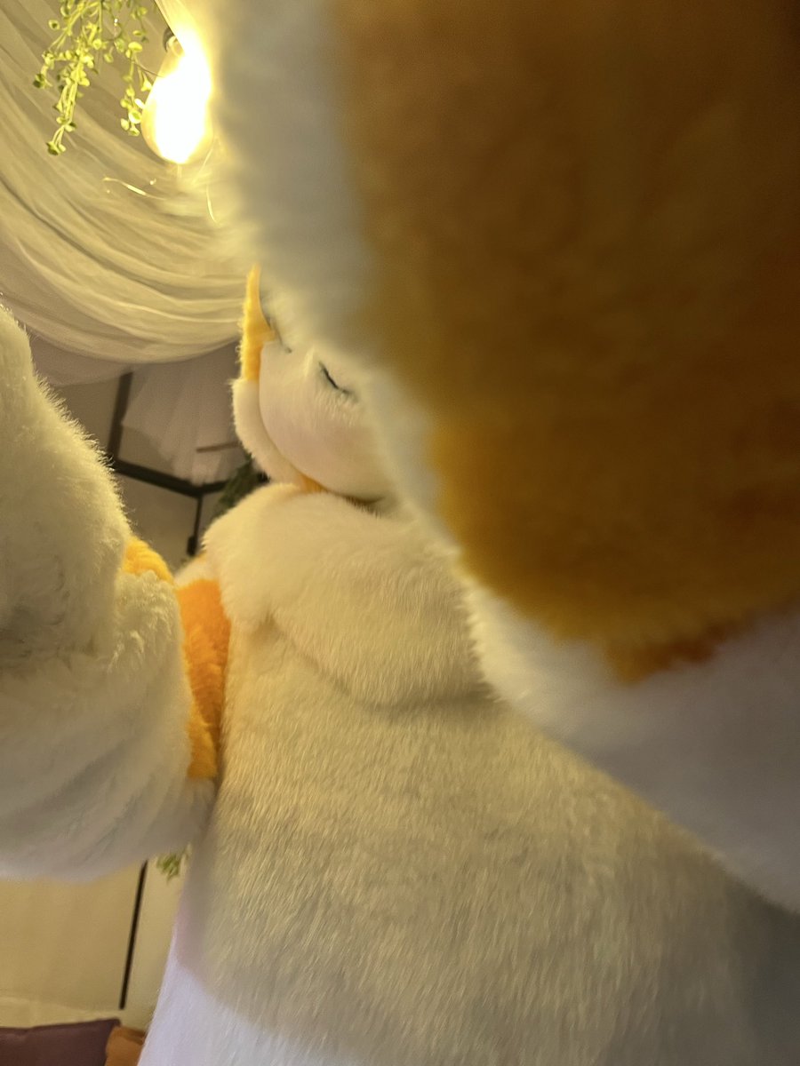 えすと ➡ ？？？ tweet media