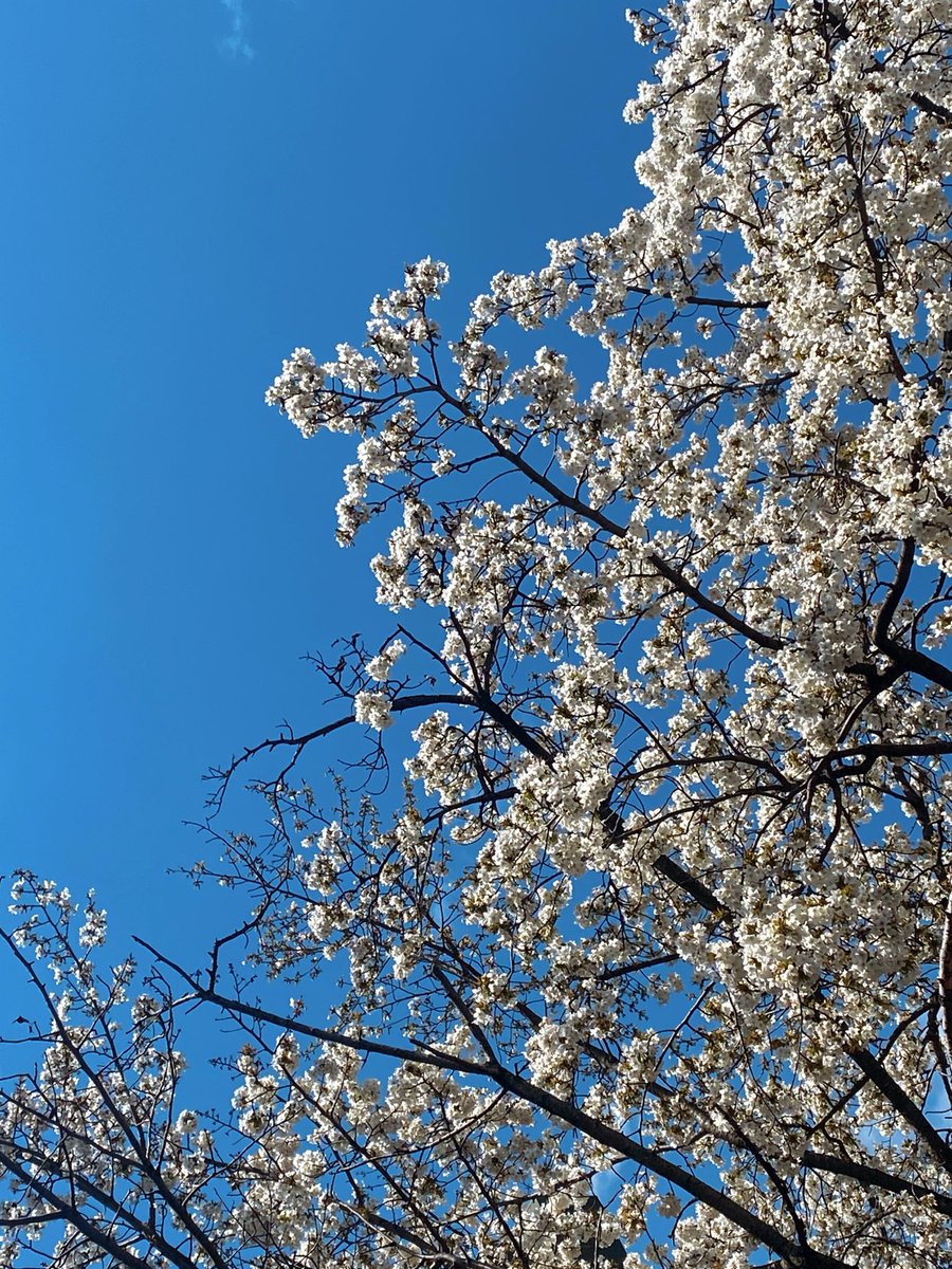 LOVEmarshmallow27💙 tweet media