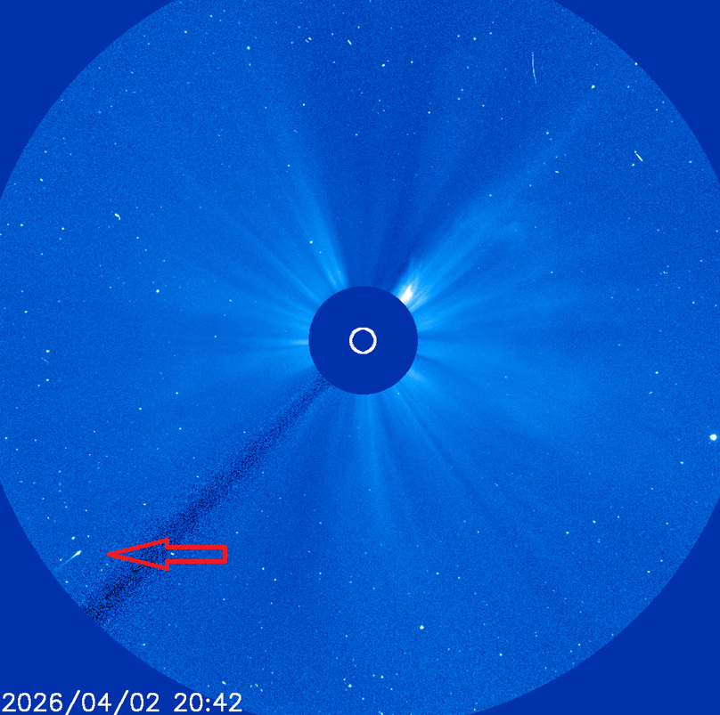 渡部潤一 tweet media