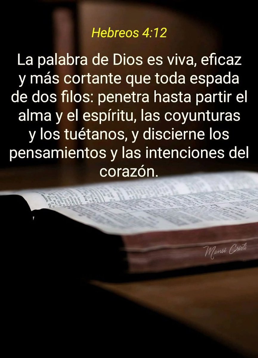 Magdalena tweet media