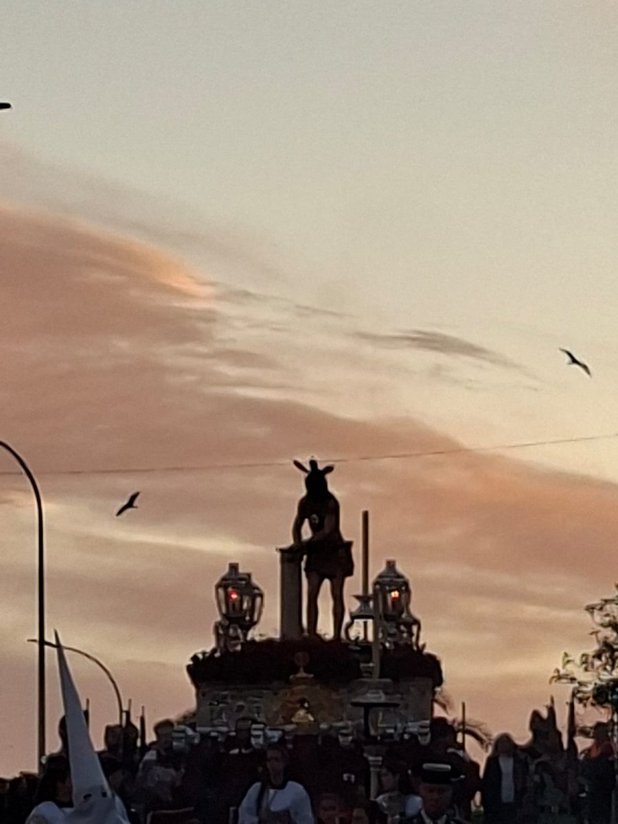 jorgegema tweet media