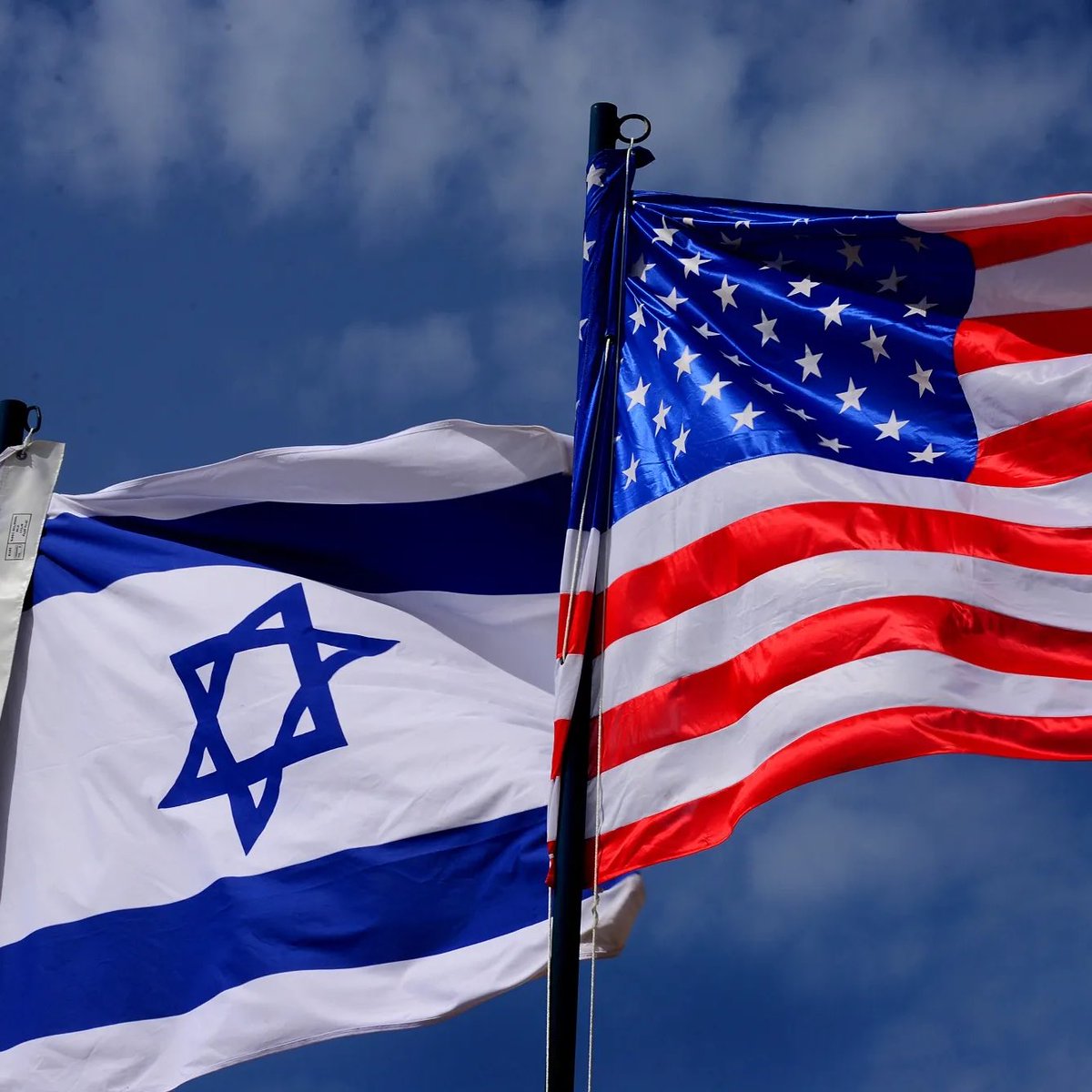 Whale Insider tweet media