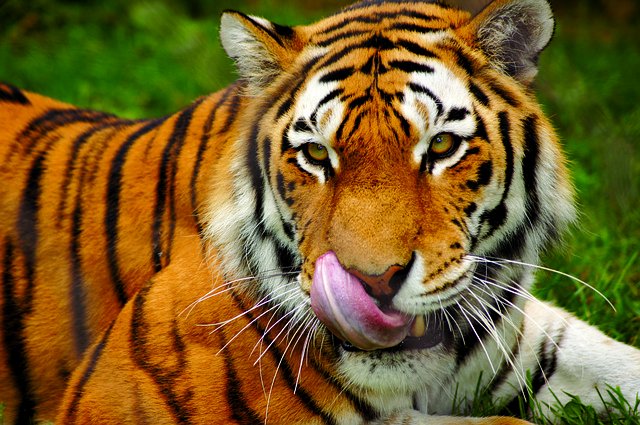 Robin Lee tweet media