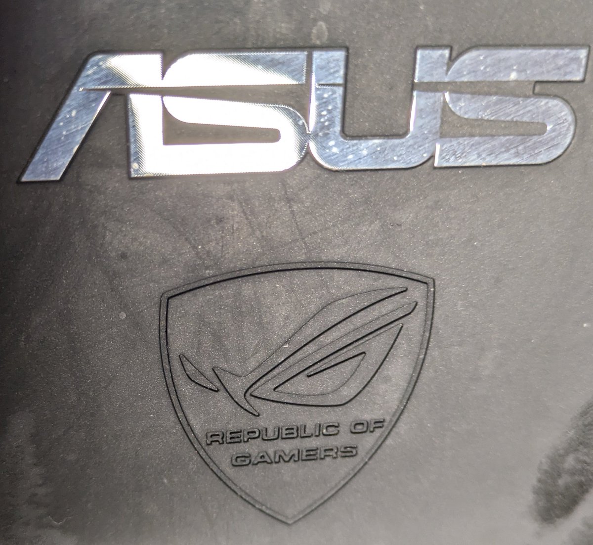 Java Coyote tweet media