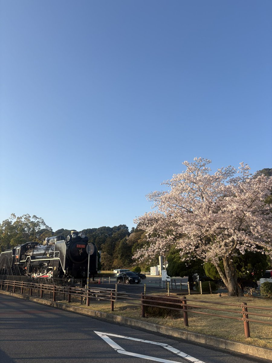 郡司真人 @水戸市 tweet media