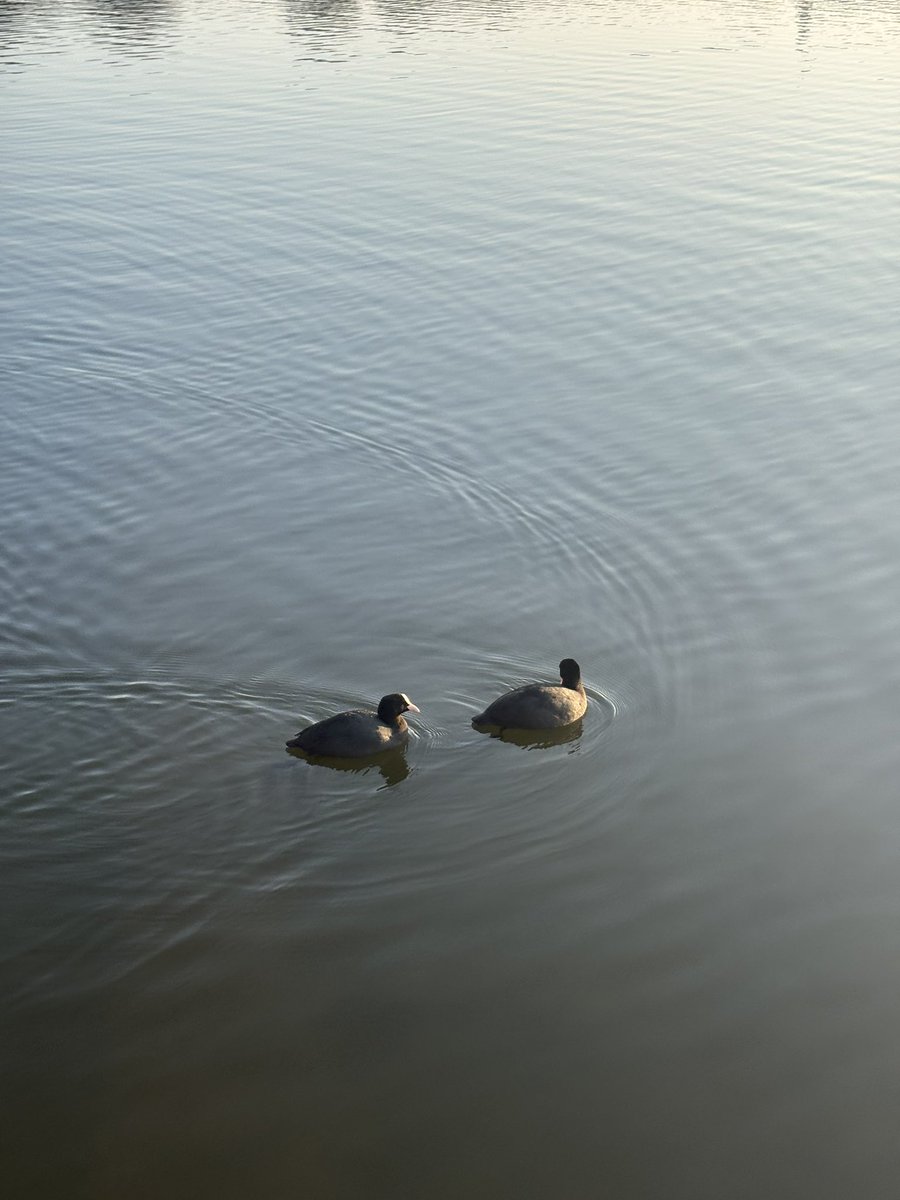 郡司真人 @水戸市 tweet media