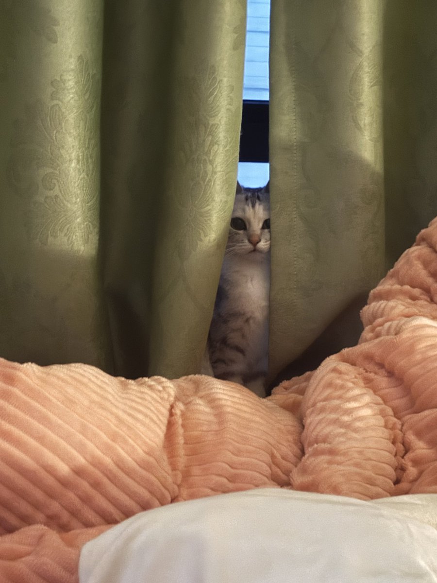 烦都烦死了😩 tweet media