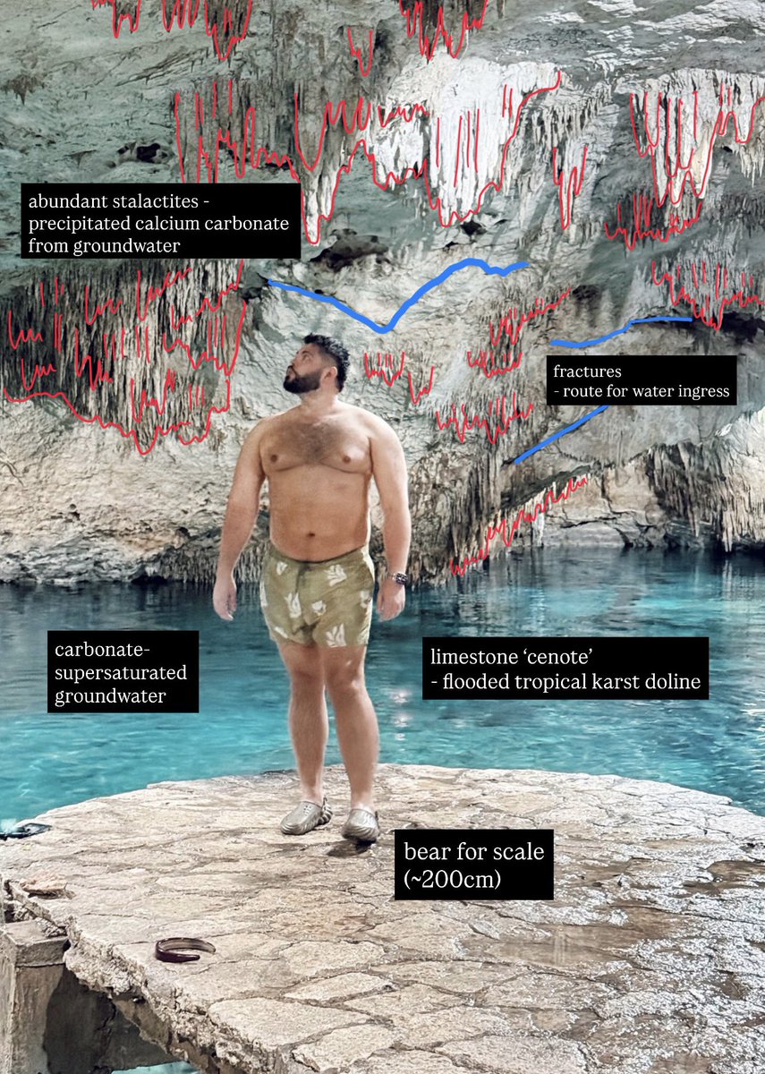 josh leon tweet media