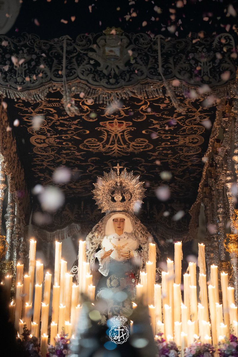Misericordia Málaga tweet media