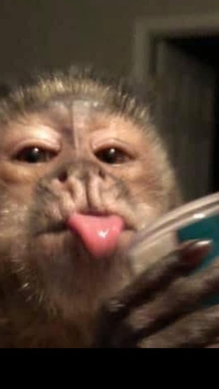 Temiloluwa🤗 tweet media