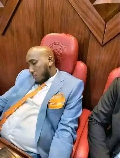 Halima K Dida tweet media