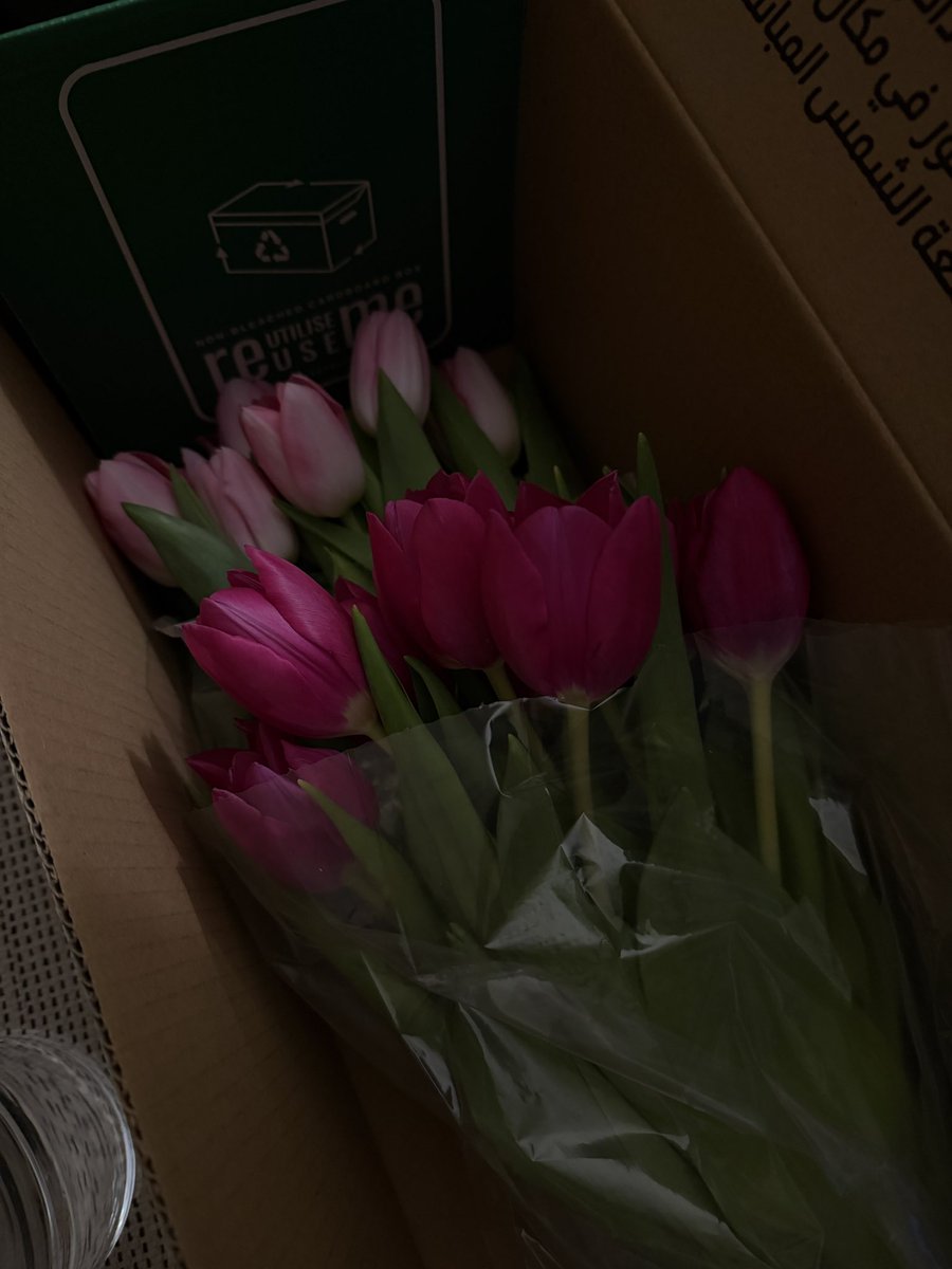 SAMAHER ALWAFY👩🏻‍⚕️🩺 tweet media