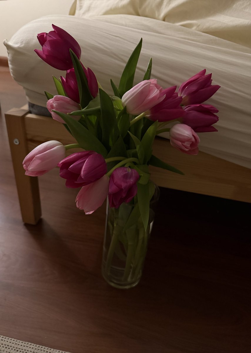 SAMAHER ALWAFY👩🏻‍⚕️🩺 tweet media