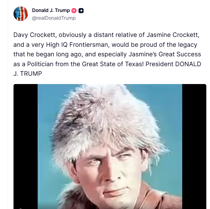 Tom Nichols tweet media