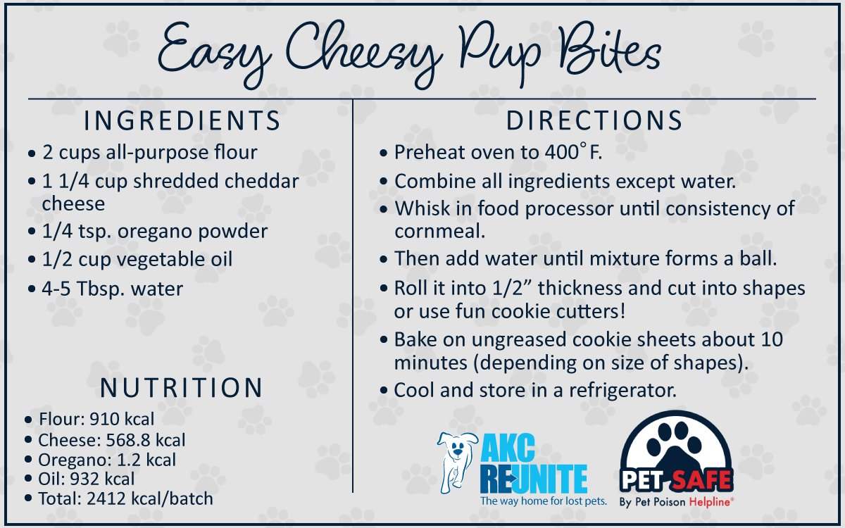 akcreunite's tweet photo. Happy National Pet Day! Help your BestPetEver celebrate by making them this Pet-Safe treat for their special day! Check out our other Pet-Safe recipes here: https://t.co/kkyiRQQZIX #petday #pets https://t.co/MdQKtxoJPa
