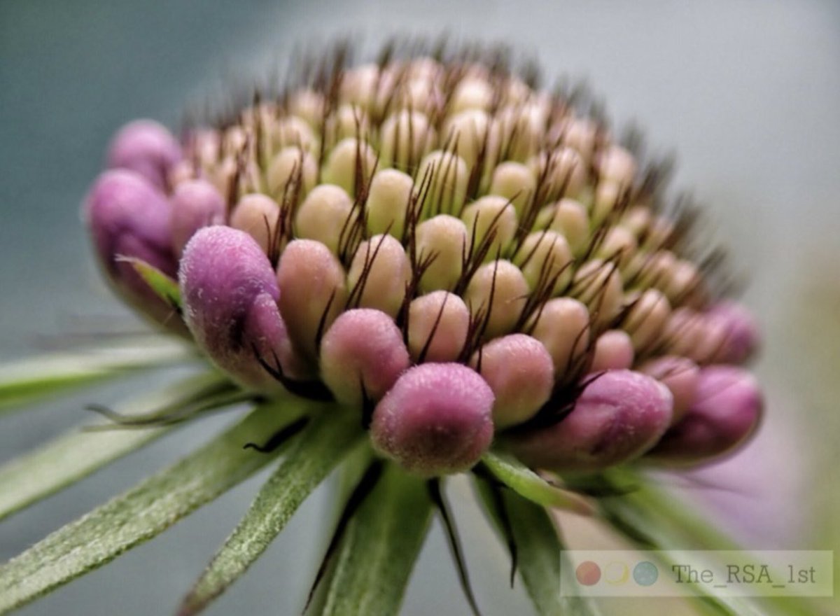 Sky* Ronald Stocker – Born in Ocean Falls B.C. tweet media