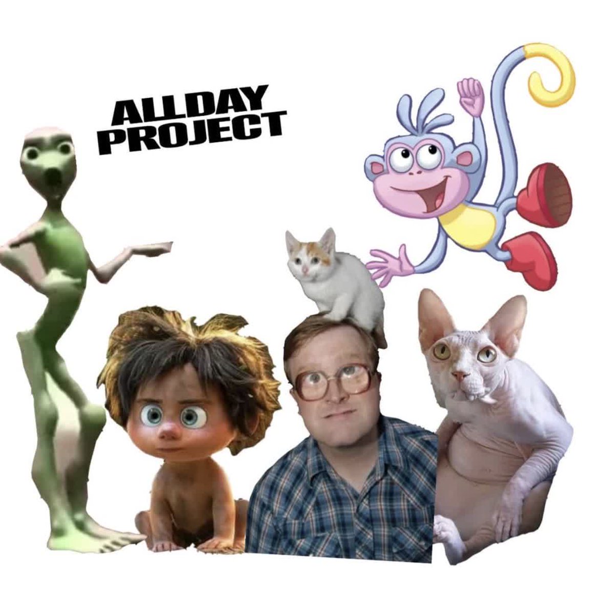 보프가낳음 tweet media