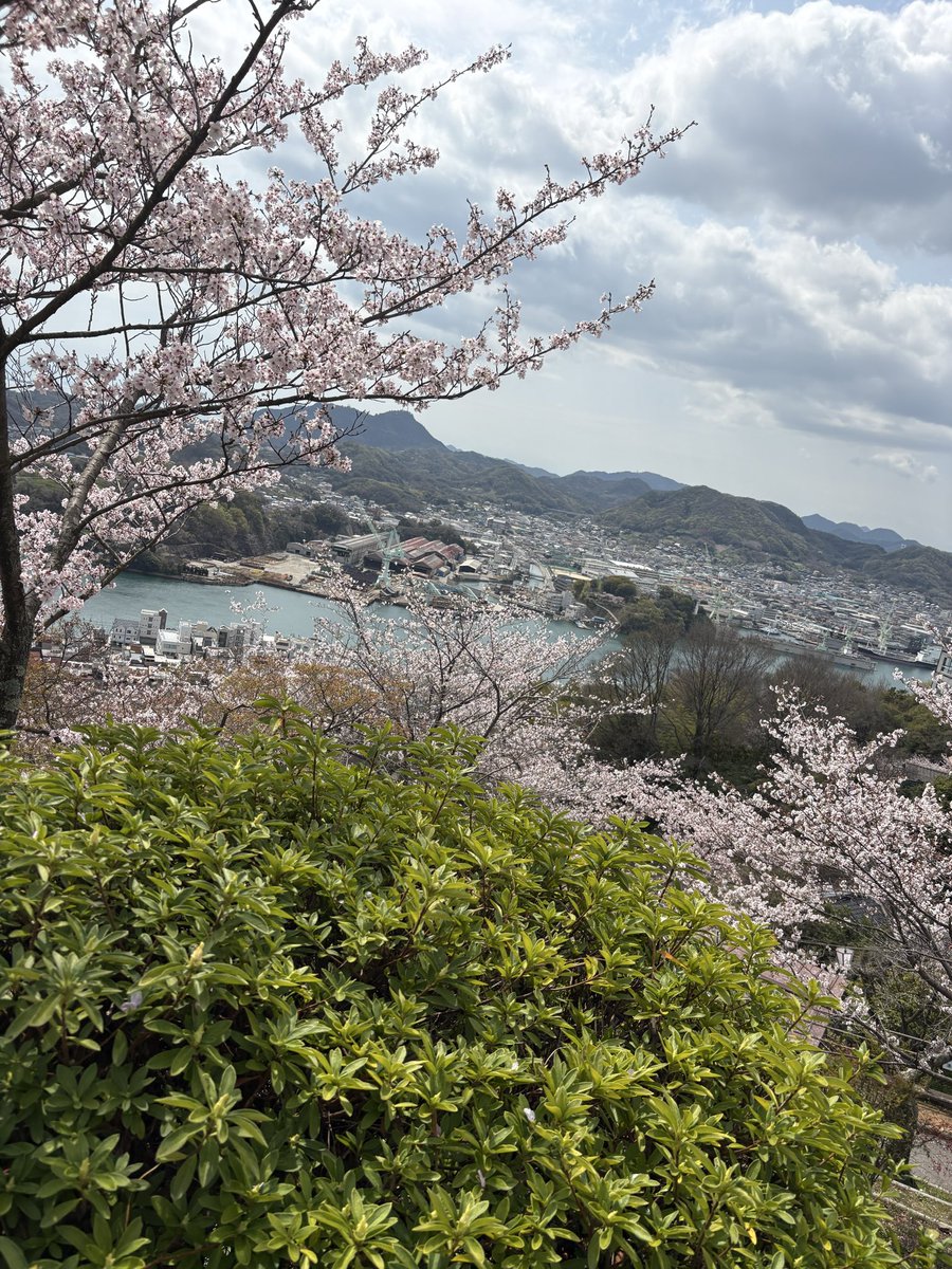 みーちゃん tweet media